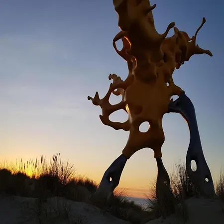 In Near The Appartement