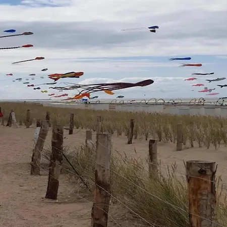 In Near The Appartement *