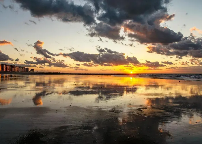 In Near The Appartement *