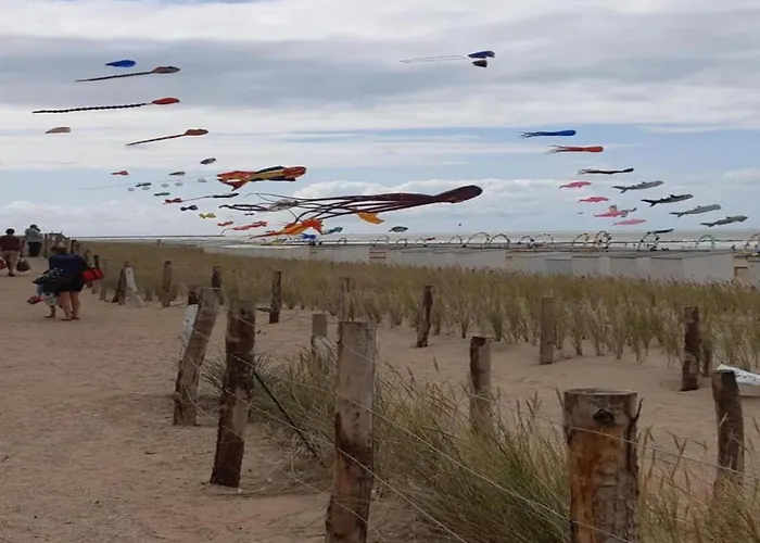 In Near The Appartement *