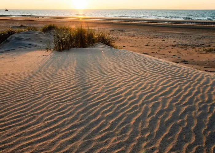 Appartement In Near The *