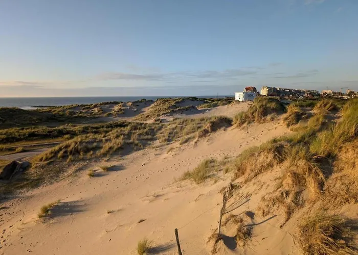 In Near The Appartement